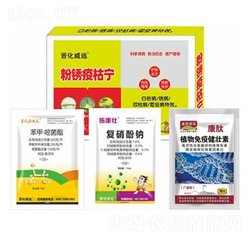 ���P�߿݌�-�滯���h