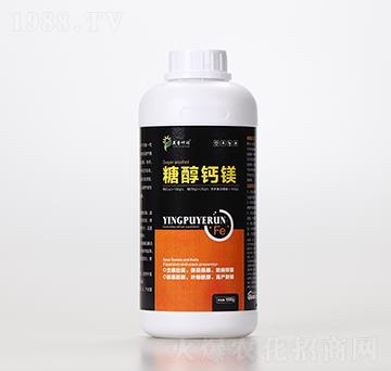 �Ǵ��}�V-Ӣ���~��