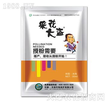 �ɻ���I-��T����