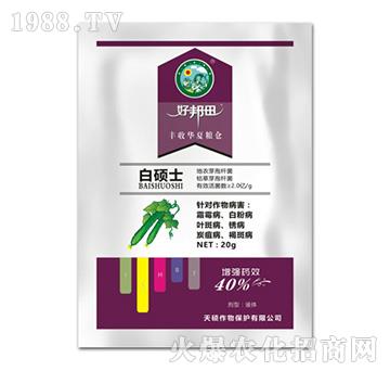 �״Tʿ-�ð���-��T����