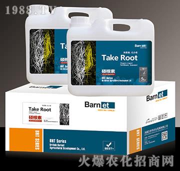 �T����-혞��r�I(y��)