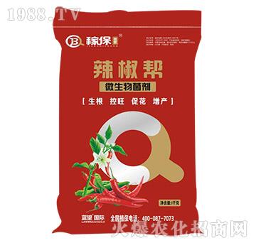 ΢�������-������-�ڱ�����