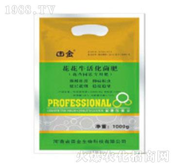 �����������-�������