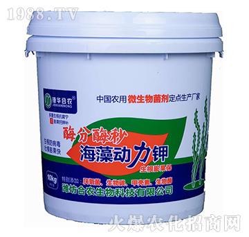 ø��ø��-��������-���A���r(n��ng)