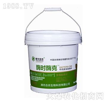 ø�rø��-���A���r(n��ng)