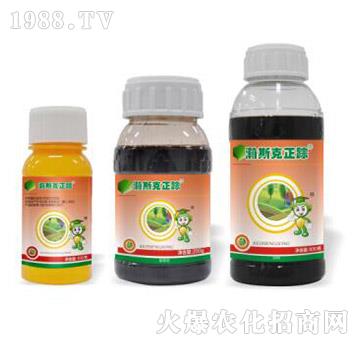 43%�ݸ����}-�˹����ۙ-�˹����