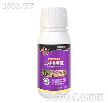 �t���������팚-�����-���A����