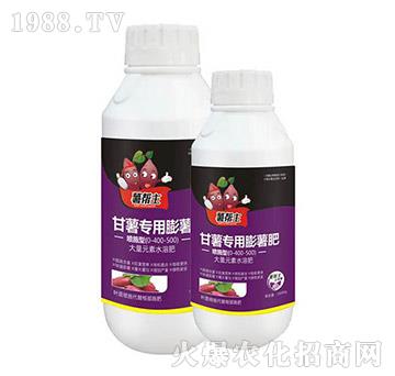 �t�팣��������-�����-���A����