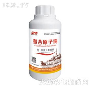 ��һ΢��Ԫ�ط���-����ԭ���~-�S�f��