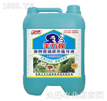 ��ˎ�Č��Ï�(qi��ng)�־��ι��_ʩĸҺ-�S�f��