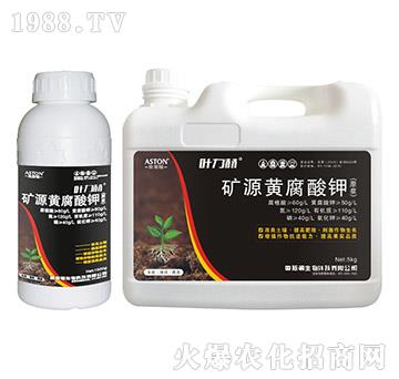 �VԴ�S����⛣�ԭ�{��-�~����-�W˹�D