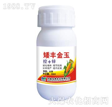 ���S����-���䌍(sh��)�I(y��)