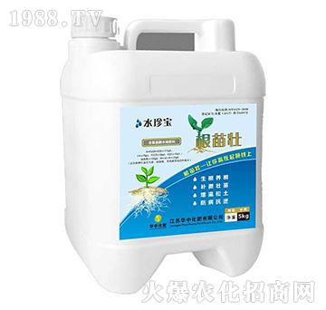 �����-ˮ�䌚-�A�л���