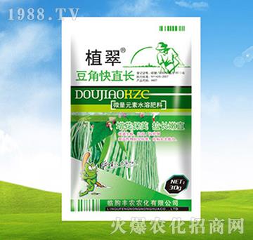 ���ǿ�ֱ�L-ֲ��-�S�r(n��ng)�r(n��ng)��