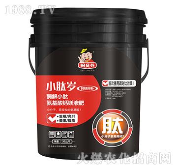 ø��С�İ������}�VҺ��-С�Ěq-�f(w��n)��