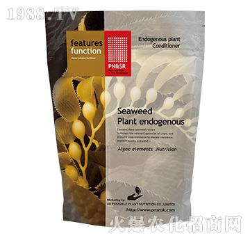 �����ˡ����������-ꖹ�G��