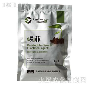 �ز�ֲ���`���ܾ���-ů��-ꖹ�G��