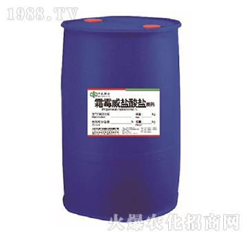 ˪ù���}���}ԭˎ-���r(n��ng)(li��n)��