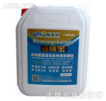 �๦�܏�(f��)��΢�����ЙC����-����˹