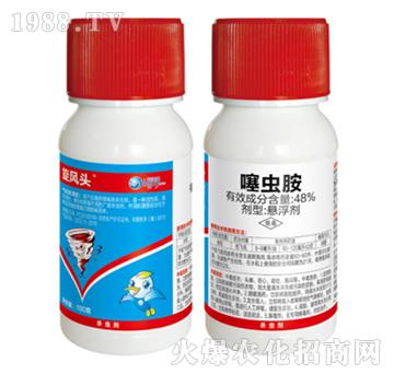 48%���x��-���L-��������