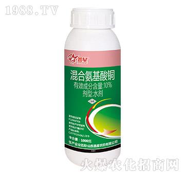 10%��ϰ������~-����