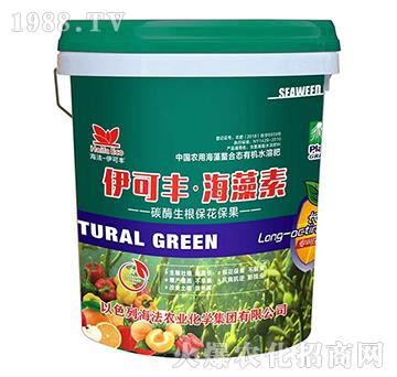 ̼ø������������-�����S��������-����