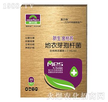 ����ѿ�ߗU��-�������K-����ɭ