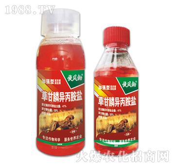 41%�ݸ�좮������}-���L�z-�ݵ�˹