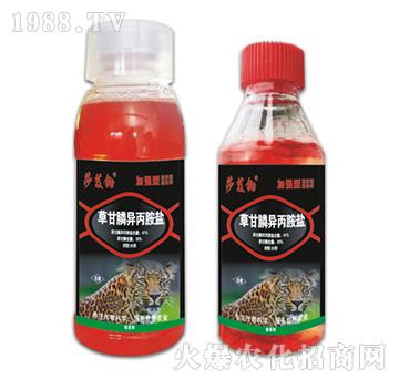 41%�ݸ�좮������}-ɯܸ�z-�ݵ�˹