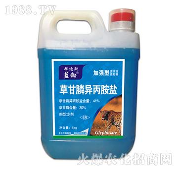 41%�ݸ�좮������}���ӏ�(qi��ng)�ͣ�-�{(l��n)�z-�ݵ�˹