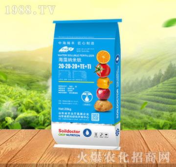 ����{����20-20-20+TE+Ti-���ԁ��(l��)