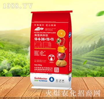 ����{����13-6-36+TE+Ti-���ԁ��(l��)