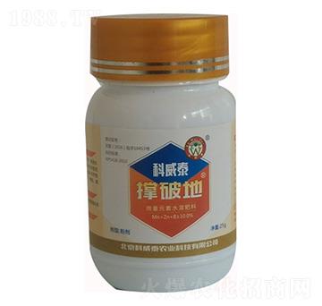 ���Ƶ�-����̩