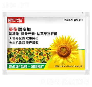 �����̶��-�κ�����