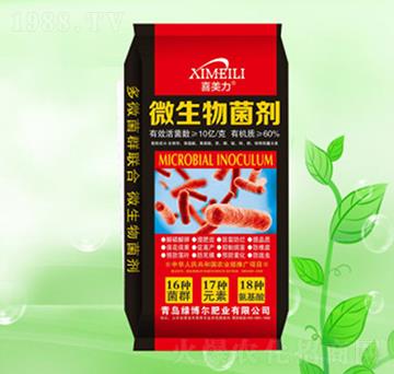 ΢�������-�G�����ʘI(y��)