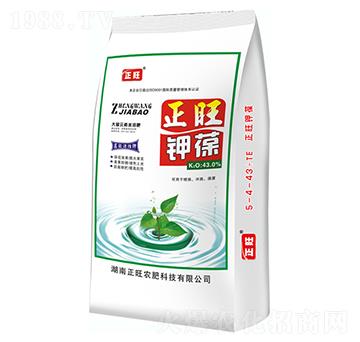 �������-�����r(n��ng)��