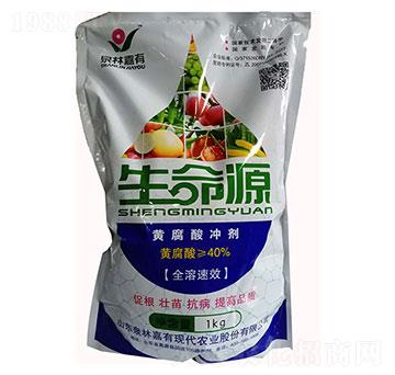 �S����_��-Ȫ�ּ���