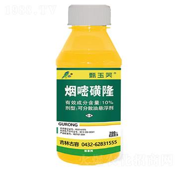 10%���׻�¡-����Ц-����