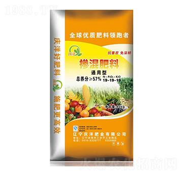 ͨ���͓������19-19-19-�c��ʘI(y��)