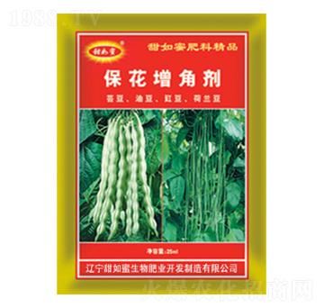 �������Ǆ�-������