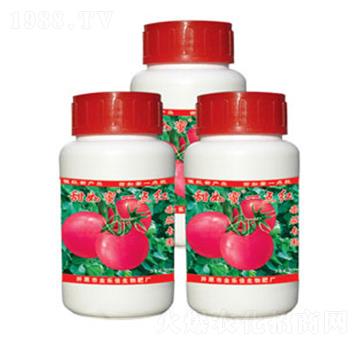 ���ь���һ�c(di��n)�t-������