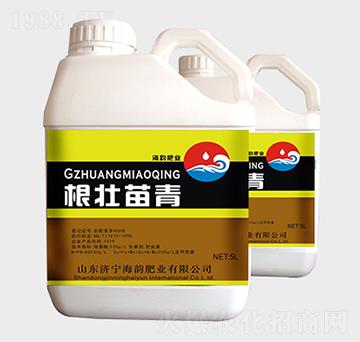 ���������_ʩ��-��퍷�