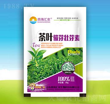 ���~�߉�ѿ��-�ĺ��R�r