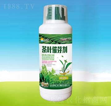 1000g���~��ѿ��-�ĺ��R�r(n��ng)