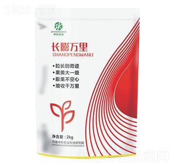 �L(zh��ng)���f(w��n)�����-�п��r(n��ng)�I(y��)