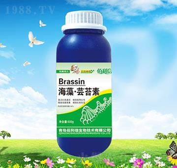 ���塤�|̦��-��Ұ�r(n��ng)��