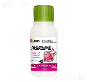 �����Ǵ���-���՘�-��(r��n)�ɷʘI(y��)