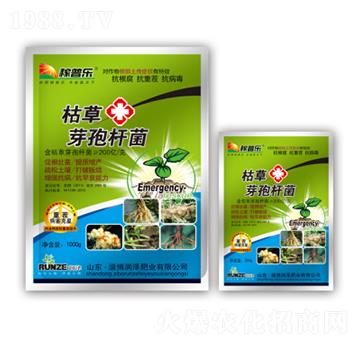 �ݲ�ѿ�ߗU��-���՘�-���ɷʘI(y��)