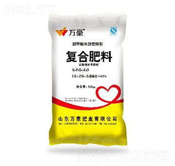 �ͺϷ���16-20-6-�f��