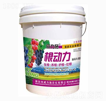 ����(d��ng)��-����ʩ